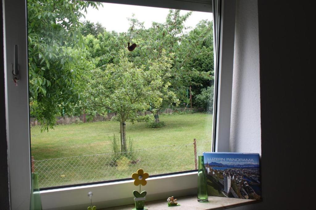Casa Mya Flat With Gardenaccess And Terrase Lägenhet Kassel Exteriör bild